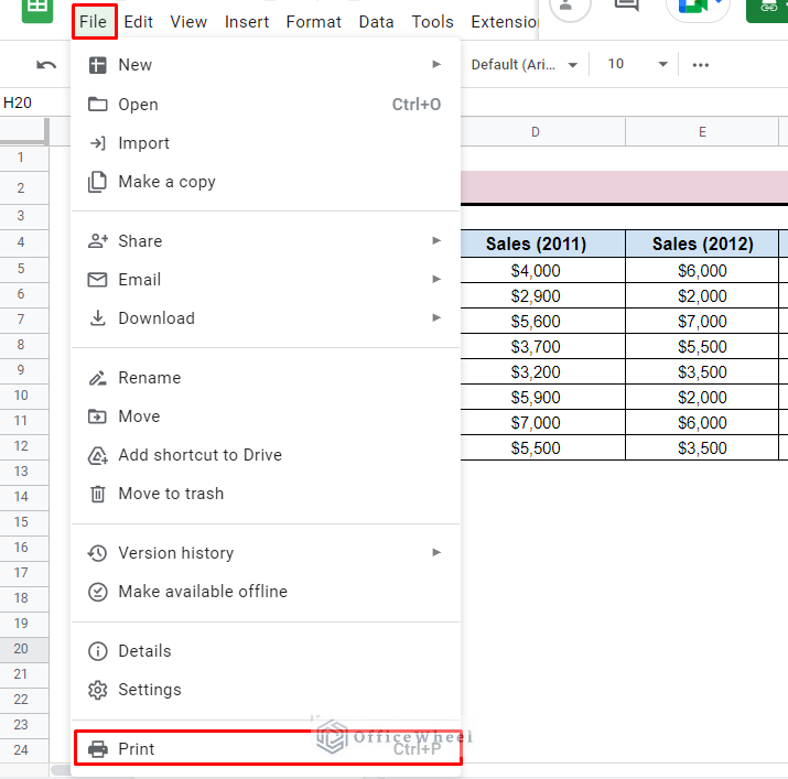 open the print option